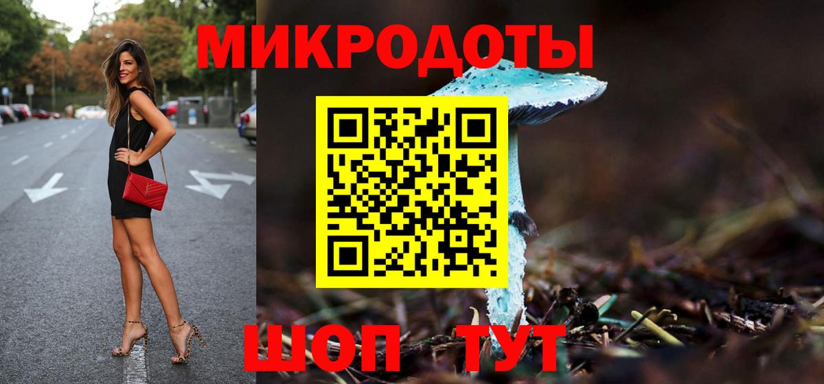 Псилоцибиновые грибы Psilocybe Тавда