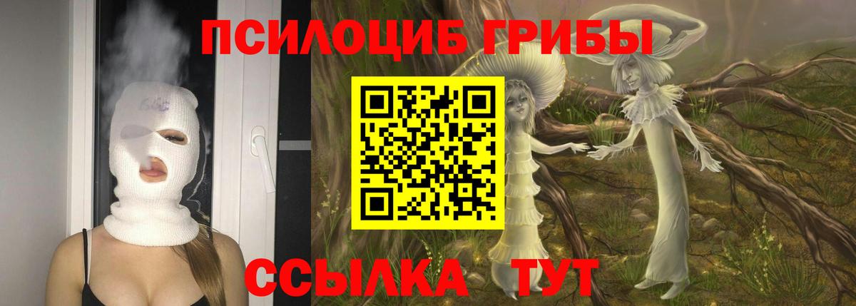Тавда  Галлюциногенные грибы прущие грибы  Вход с VPN 